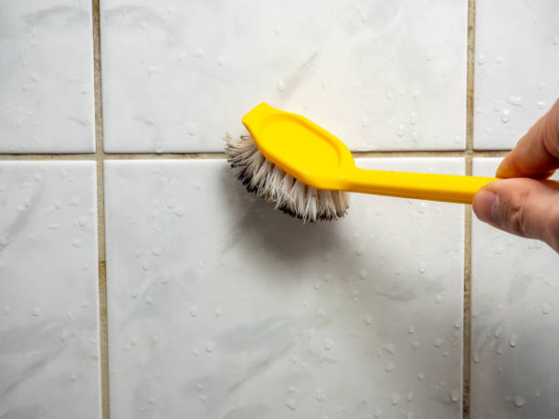 Best Attic Mold Removal  in Garrett, TX