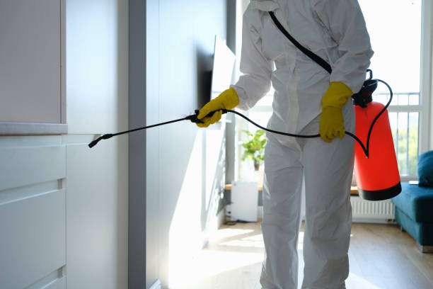 Reliable Garrett, TX Mold Removal Solutions